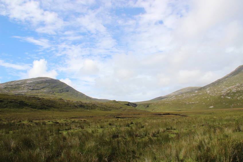 Marsh with mountain trail in the distance