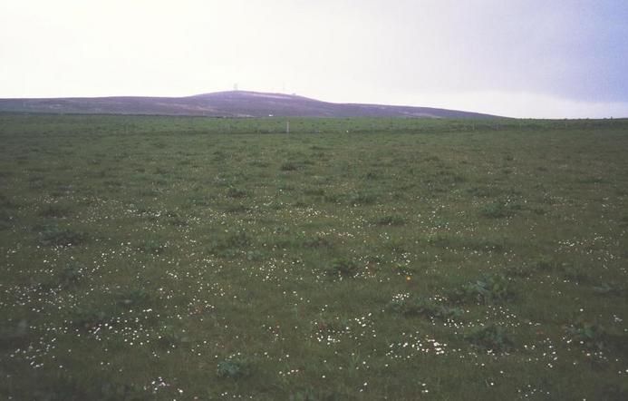 The spot in a field. Looking South West to Wideford Hill