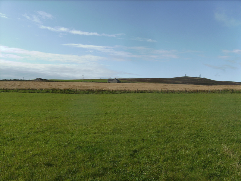 Blick nach Süden - View south