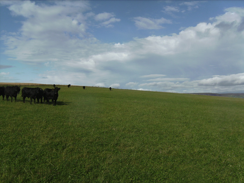 Blick nach Westen - View west