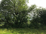 #4: looking south