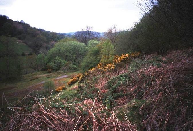 West towards the quarry.