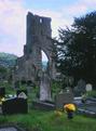 #7: Nearby Talley Abbey ruins.