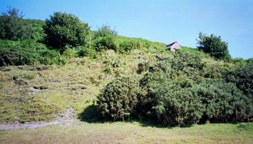 #1: Confluence point and mysterious hut near to it