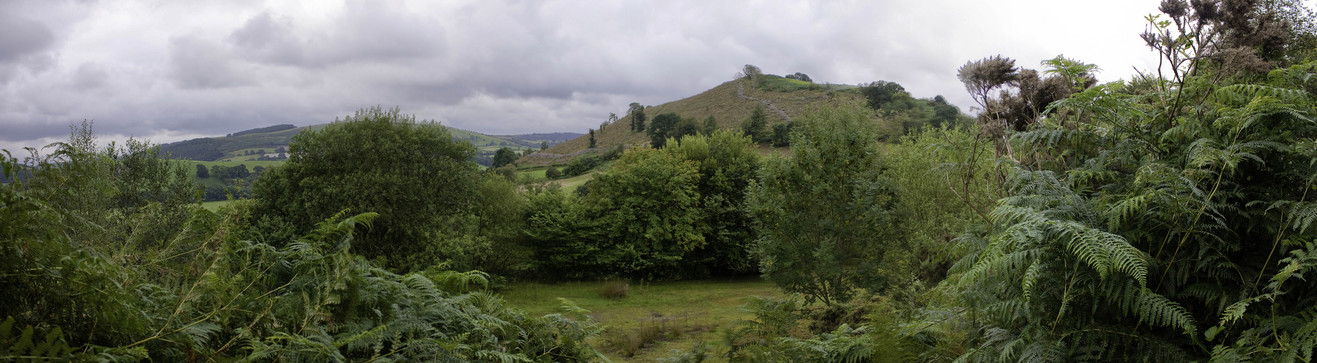 General area
