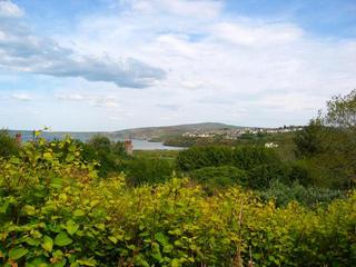 #1: The Confluence - View to the East from 50m up a Hill