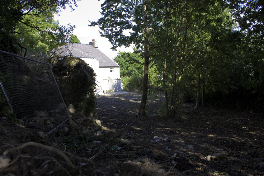 Back garden is cleared