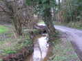 #6: Looking west-northwest at the confluence, which is in the branches covering the ditch in the center of the photograph.