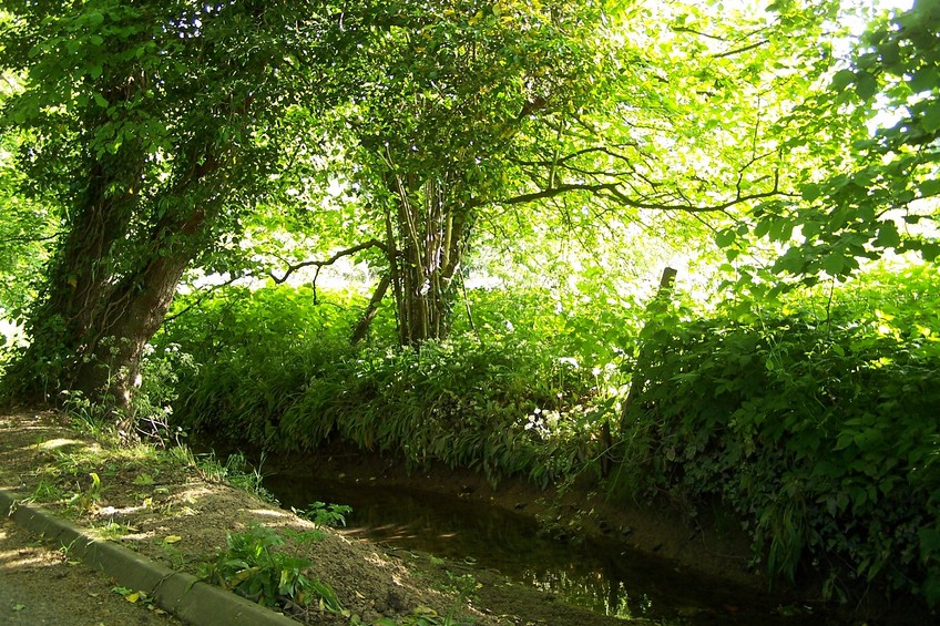 General view of the confluence (towards SW)