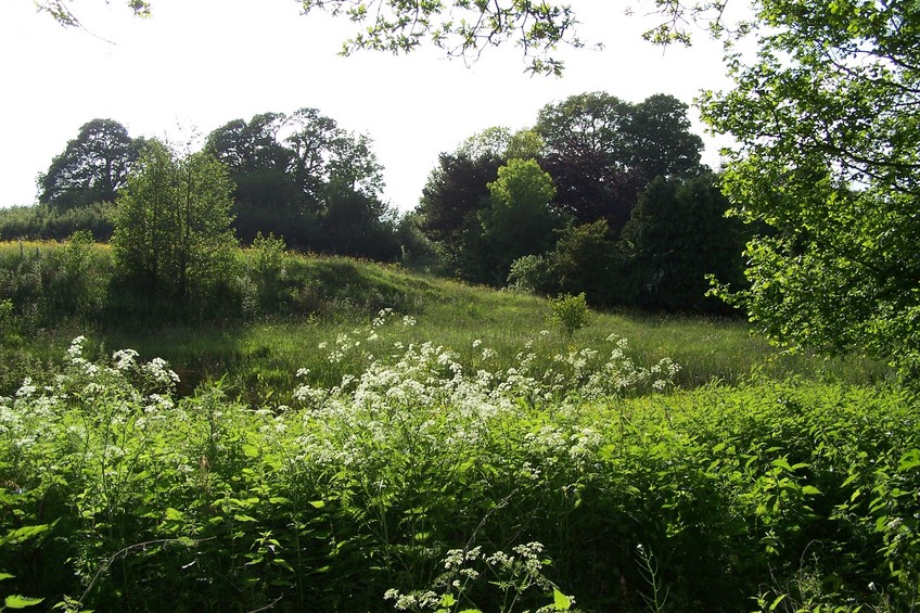 View towards W from the confluence