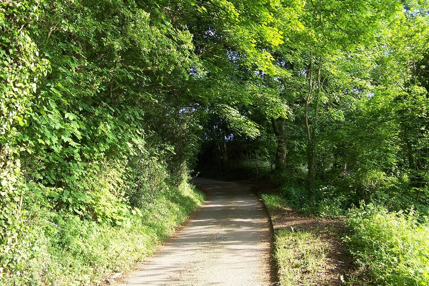 View towards S from the confluence