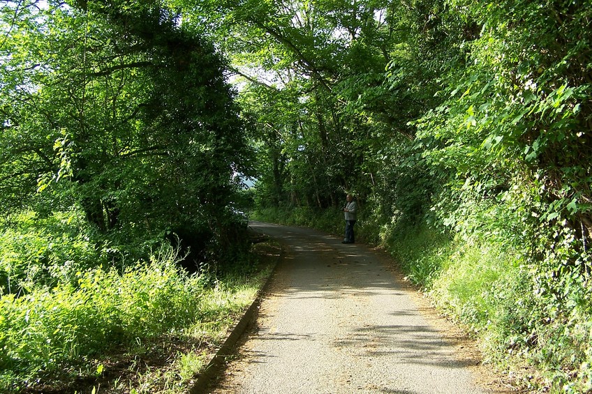 View towards N from the confluence