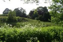 #3: View towards W from the confluence