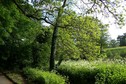 #4: View towards SW from the confluence