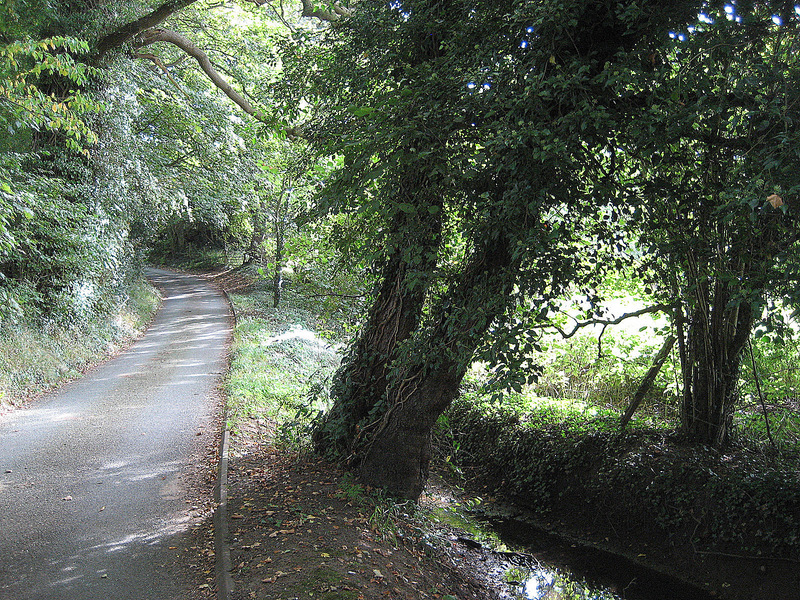 Looking South further down the road.