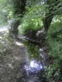 #6: Stream