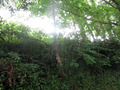 #4: View South from CP