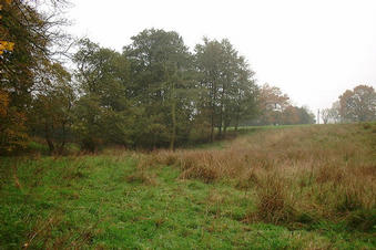 #1: A nice view of the Welsh countryside