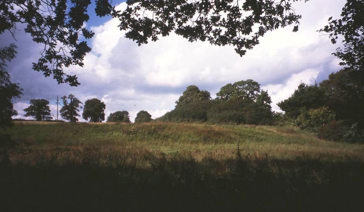 Looking southwards, across the brook.