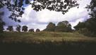 #4: Looking southwards, across the brook.