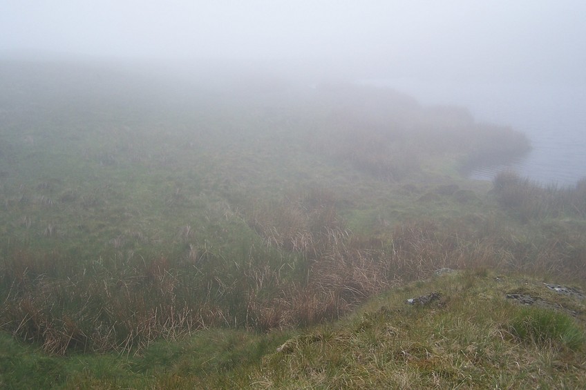 View towards SE from the confluence