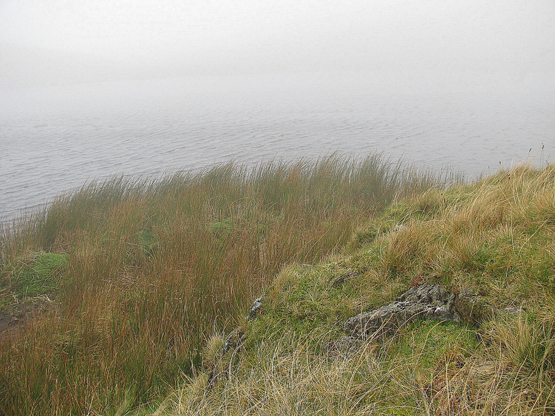 The view West over the lake.  