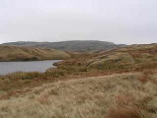 #1: Approaching confluence just to the right of centre on the knoll