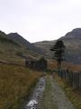 #2: Ruined chapel built of stone rather than slate and a lonely tree