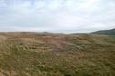 #3: Looking South