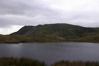 #1: North
