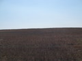 #3: View to the South