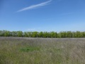#4: West view