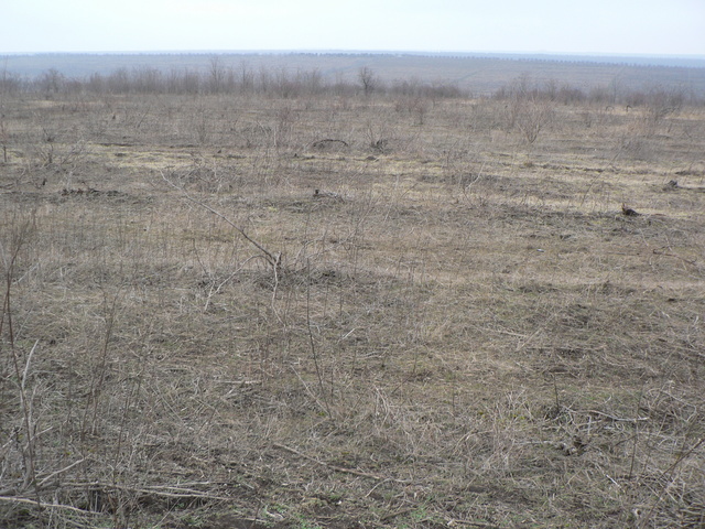 General view