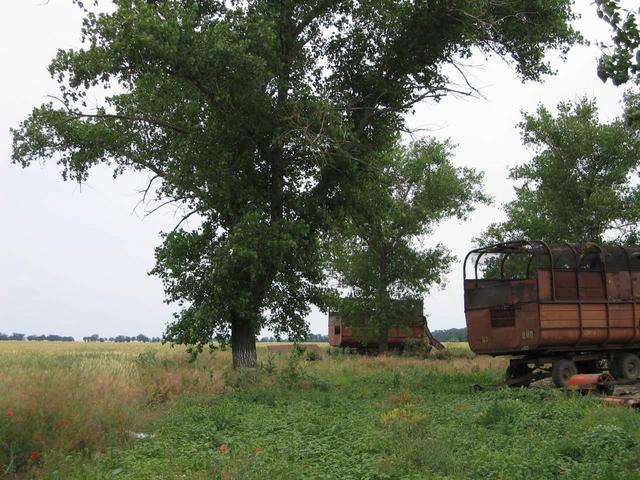 View from the point to the North.