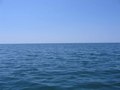 #4: South