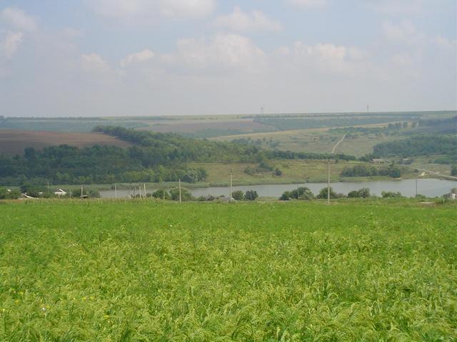 the confluence looking to the east distance 50 m