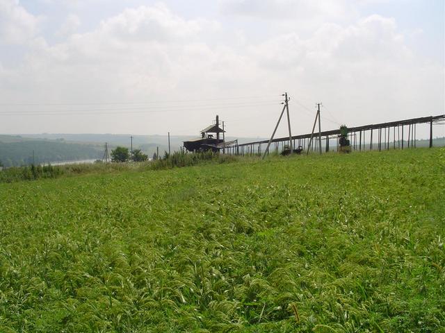 from the confluence looking to the south