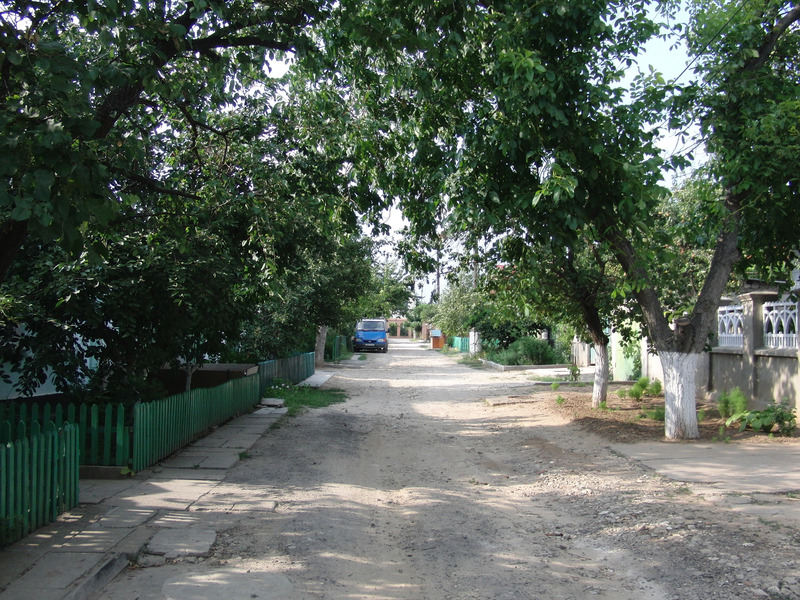 Looking North from the confluence
