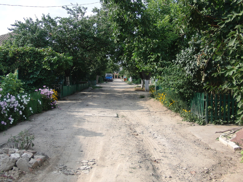 Looking North from the South end of the Lane – at the right site behind the yellow flowers one find the confluence