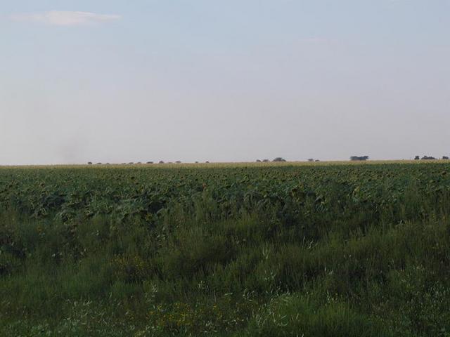 The Field..... confluence ahead