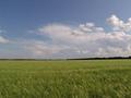 #5: South view