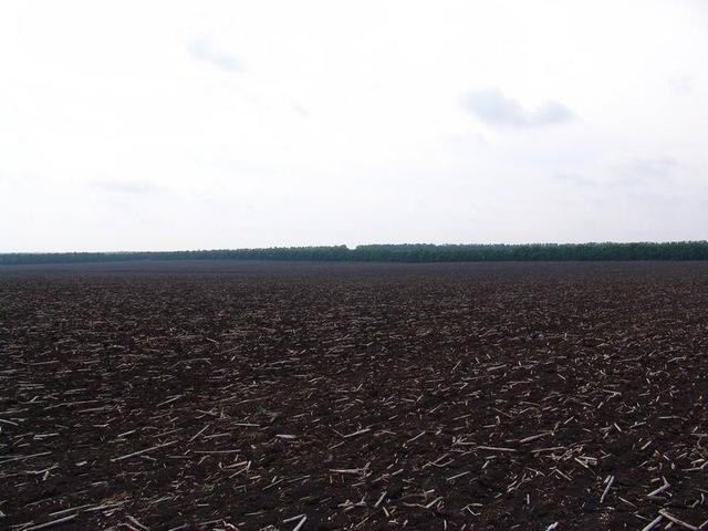South view