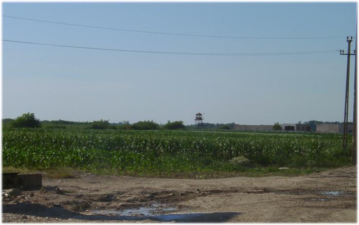 Confluence area with watch tower >= 1km from Romanian village of Halmeu