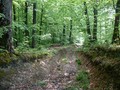 #5: Общий вид слияния с расстояния 20 м / View to CP from 20 m