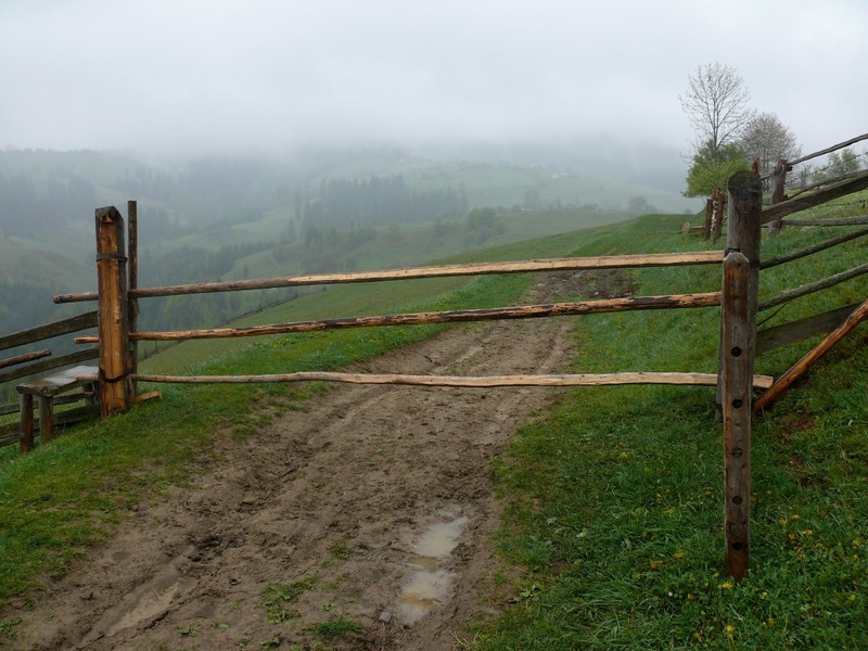 Дорога к конфлюэнции под дождем /  The road to CP under the rain