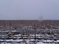 #5: South view
