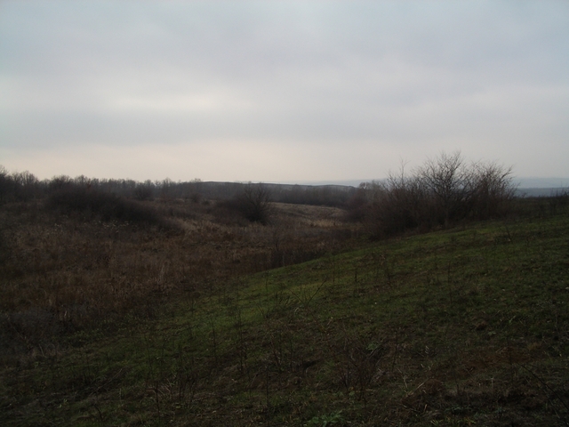 West