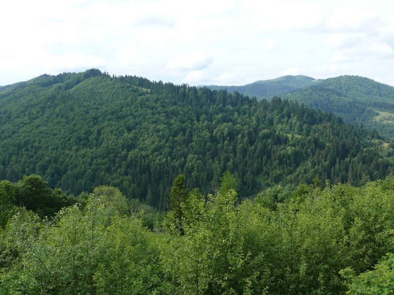 Карпаты/Karpathian Mountains