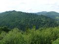 #8: Карпаты/Karpathian Mountains