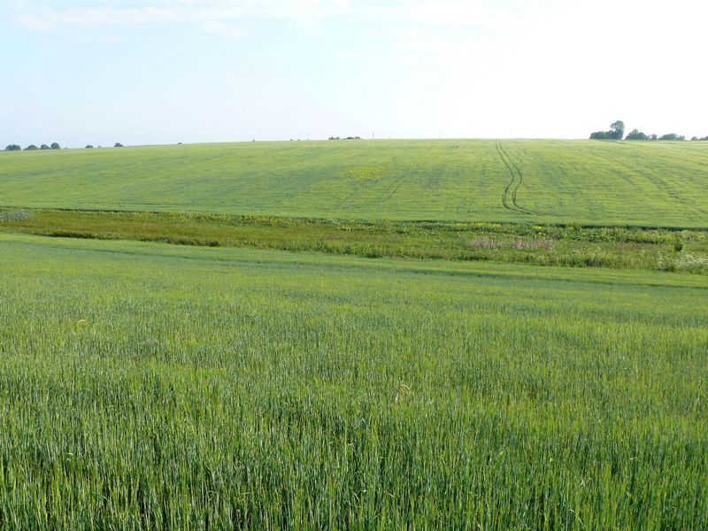 Вид на север/North view